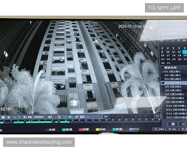 新葡京官网app安全保障措施解析，保障玩家个人信息与资金安全的全面措施