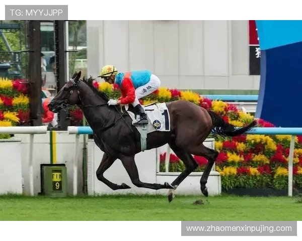 hkjc官方网站提供的赛马资讯与投注策略，助你提升投注成功率与体验